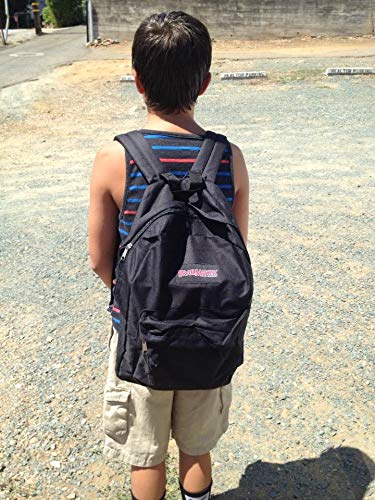 Classic 17 Inch Backpack with Adjustable Padded Shoulder Straps F2601