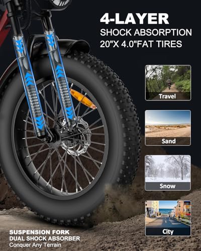 Electric Bike for Adults, 48V 25Ah Removable Battery, 20" Fat Tires C5206