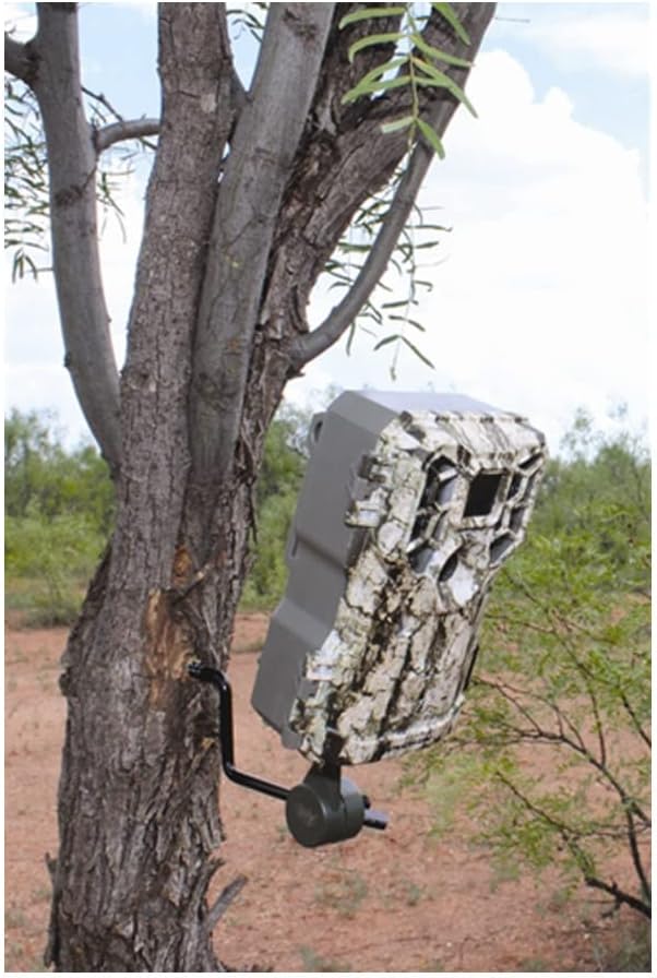 Trail Camera with Video 2-Pack Bundle with Memory Cards and USB Card Reader W43948