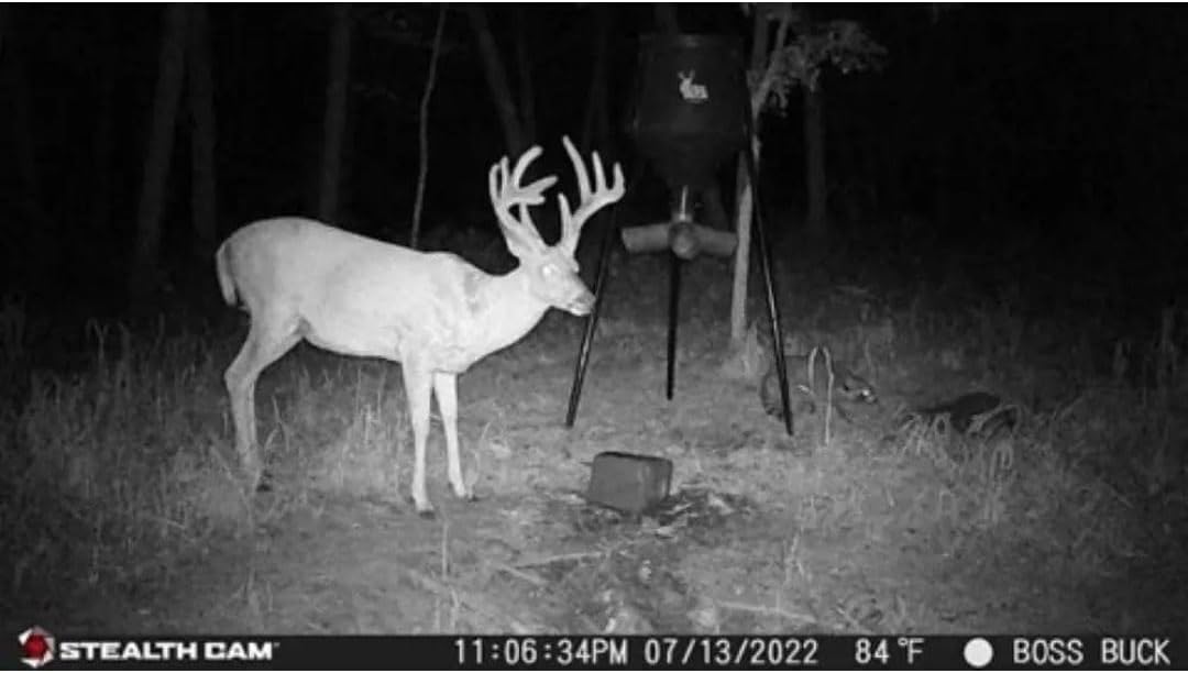 24MP Trail Camera - 2 Pack Z64030
