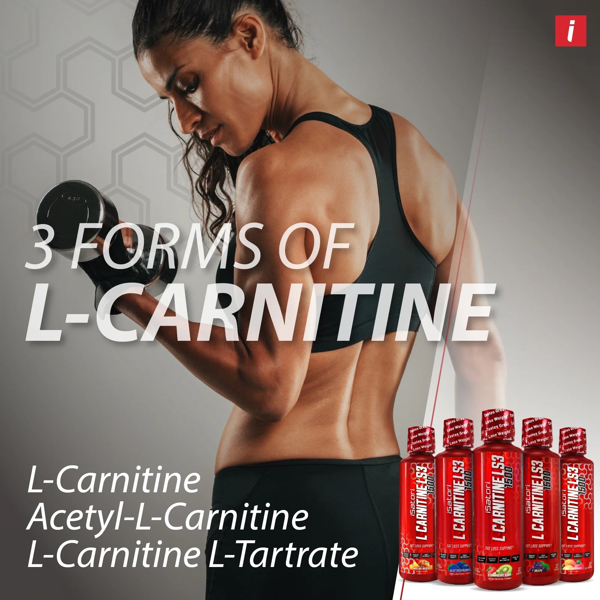 L-Carnitine Concentrated Liquid Metabolic Enhancer, Strawberry Kiwi Z5546