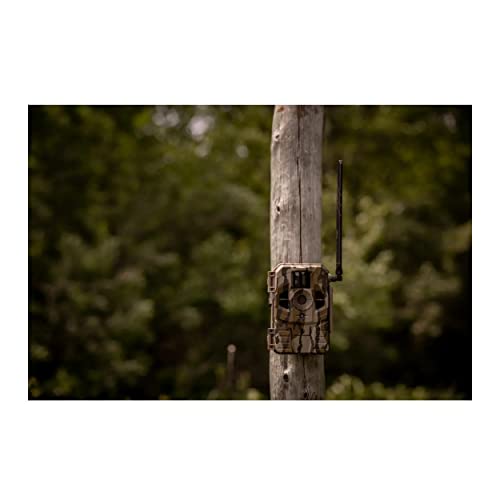 Cellular Trail Camera 2-Pack with 32GB Memory Card and Card Reader M9777