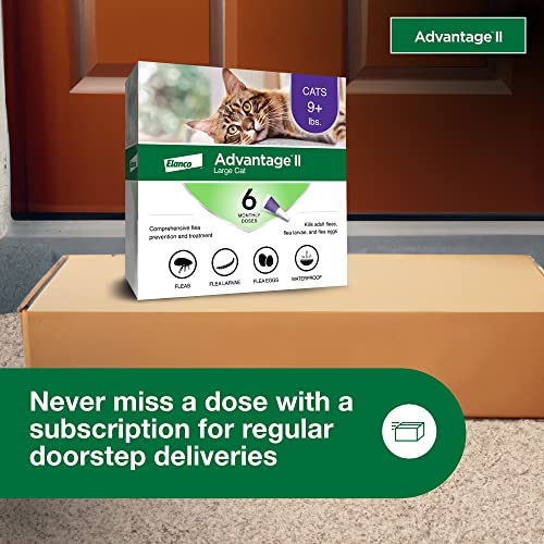 Flea Treatment & Prevention for Large Cats, 12-Month Supply C11011