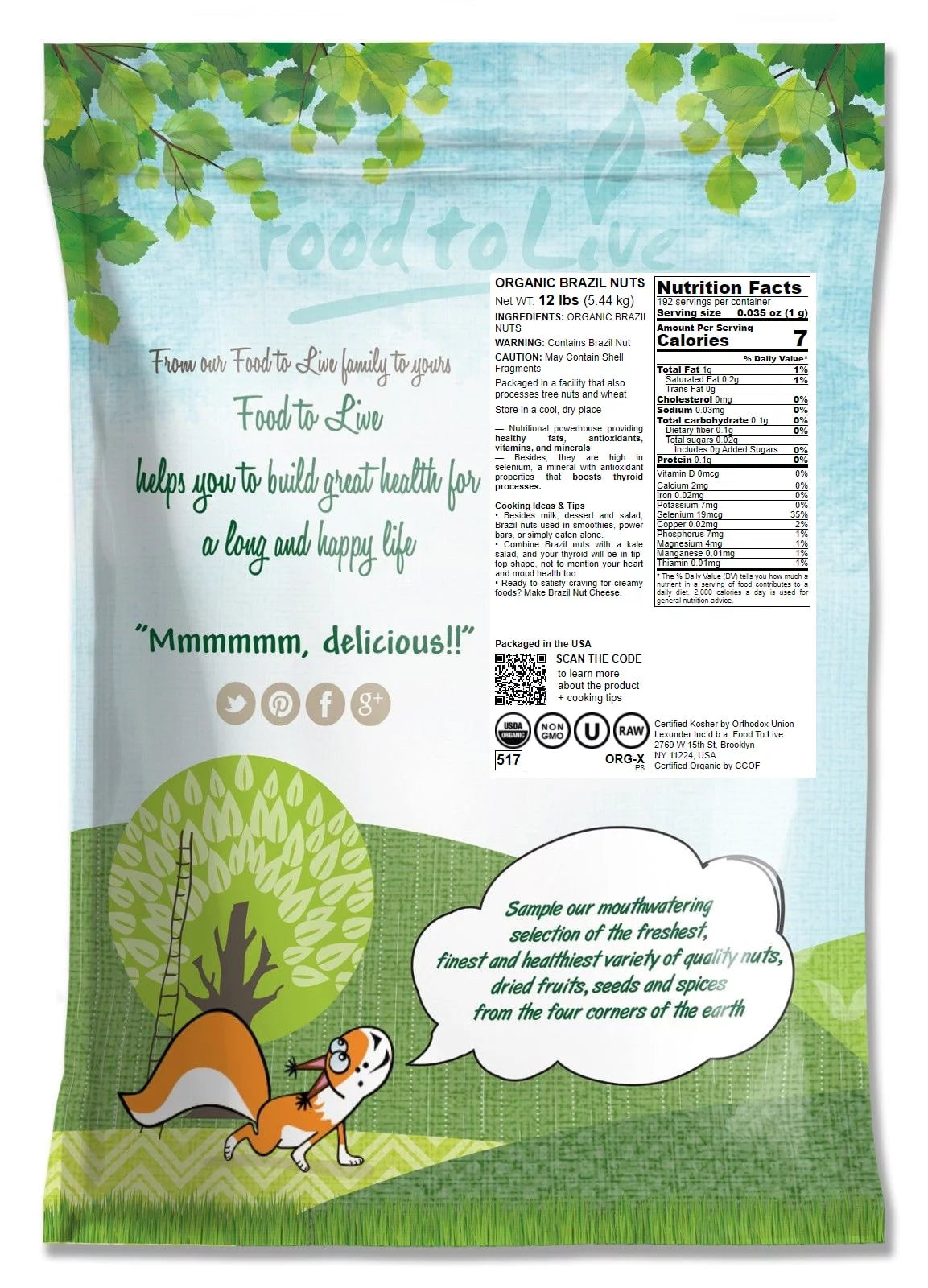 Organic Brazil Nuts, Non-GMO, 12 Pounds D8858