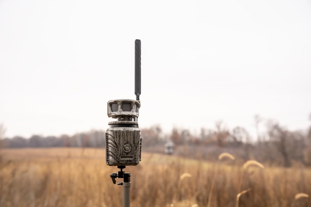 Trail Camera 2-Pack with 1080P HD Video and 360° Panoramic View R4545
