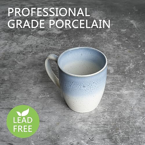 Ceramic Coffee Mug Set of 4, 17 Oz, Microwave Safe A227705