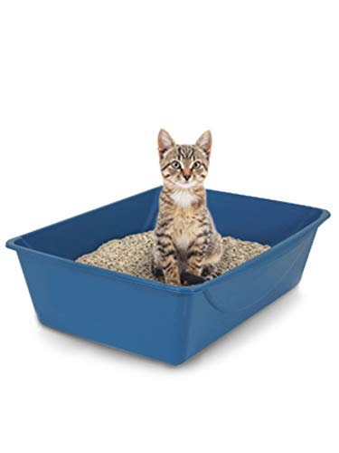 Cat Litter Box - High Capacity, Open Top for Large Cats L581266