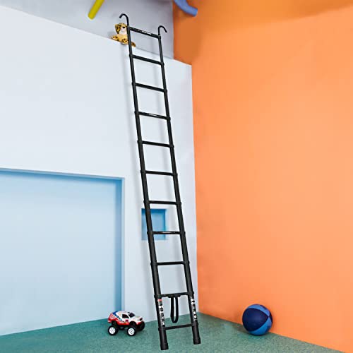 20.5ft Aluminum Telescoping Ladder with Roof Hooks, Adjustable Height, 330lb Capacity W609167