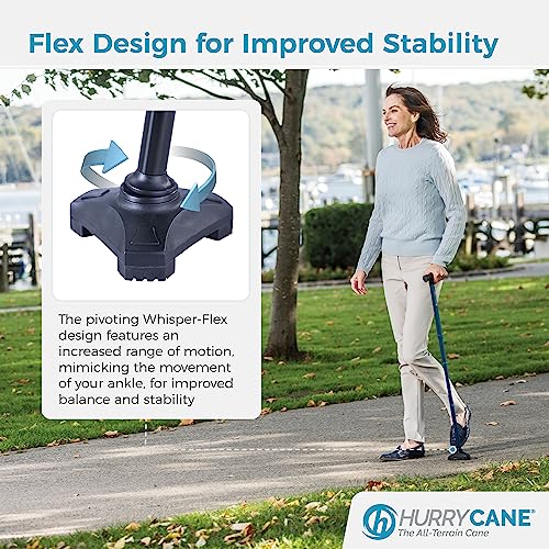 Foldable Walking Cane with T Handle E863
