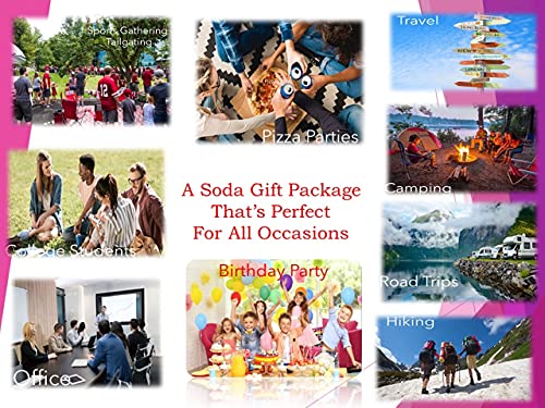 16 Soda Variety Bundle | Multi Flavor Soft Drink Pack | Assorted Cola, Ginger Ale, Iced Tea L5315