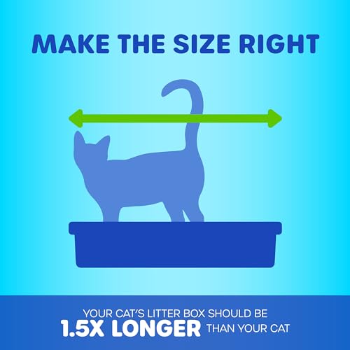 Top Entry Cat Litter Box with Filter Lid B55534