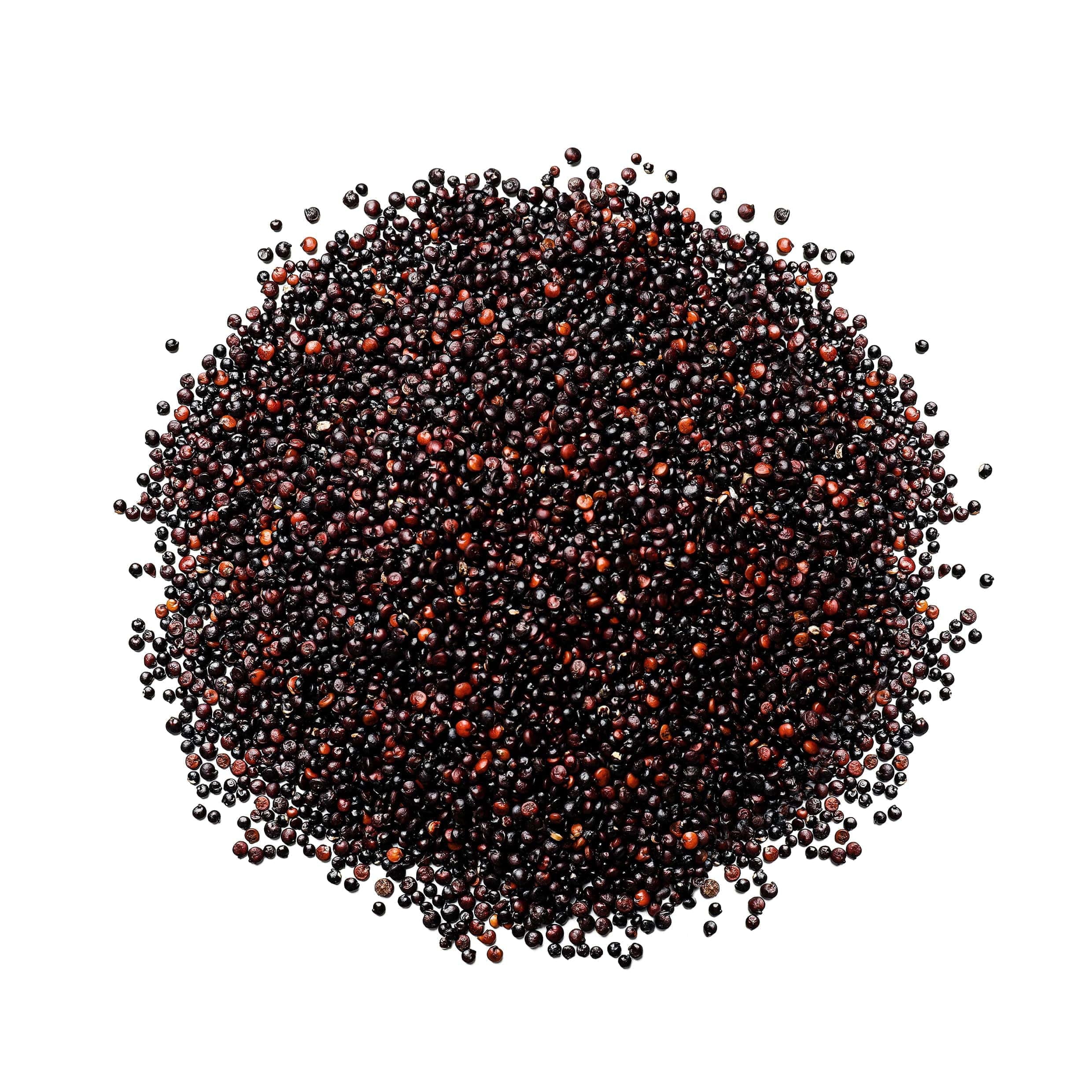 Black Quinoa, 10 Pounds — Raw, Sproutable P5877