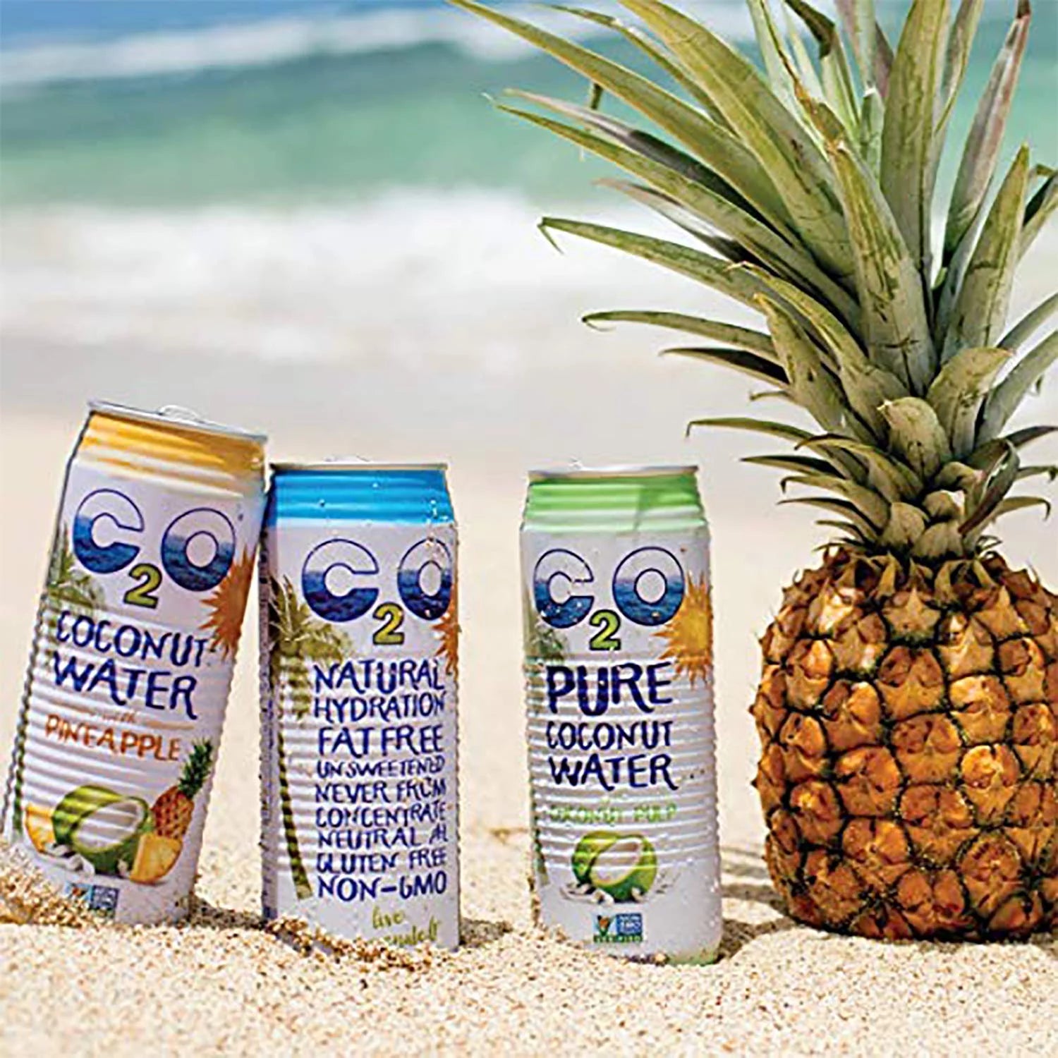 Pure Coconut Water, No Added Sugar, 17.5 FL OZ (Pack of 12) R798