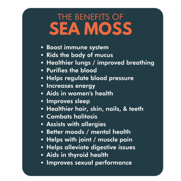 Organic Wildcrafted Irish Sea Moss Vegan Capsules O295