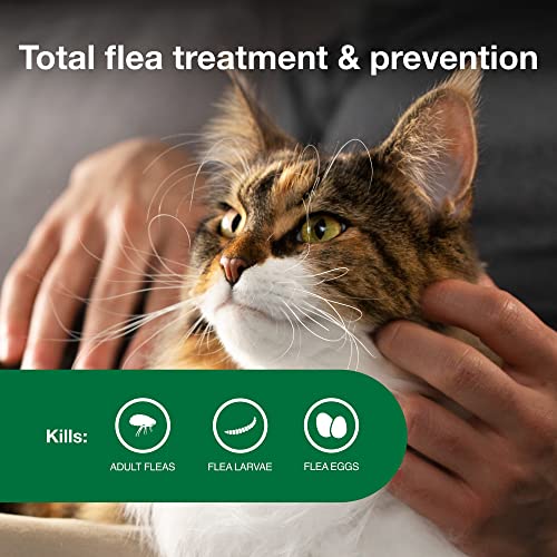 Flea Treatment & Prevention for Large Cats, 12-Month Supply C11011