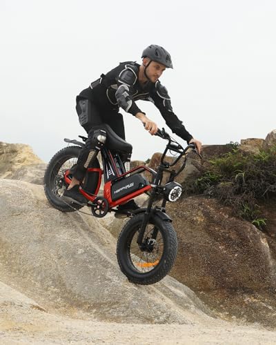 Electric Bike for Adults, 48V 25Ah Removable Battery, 20" Fat Tires C5206