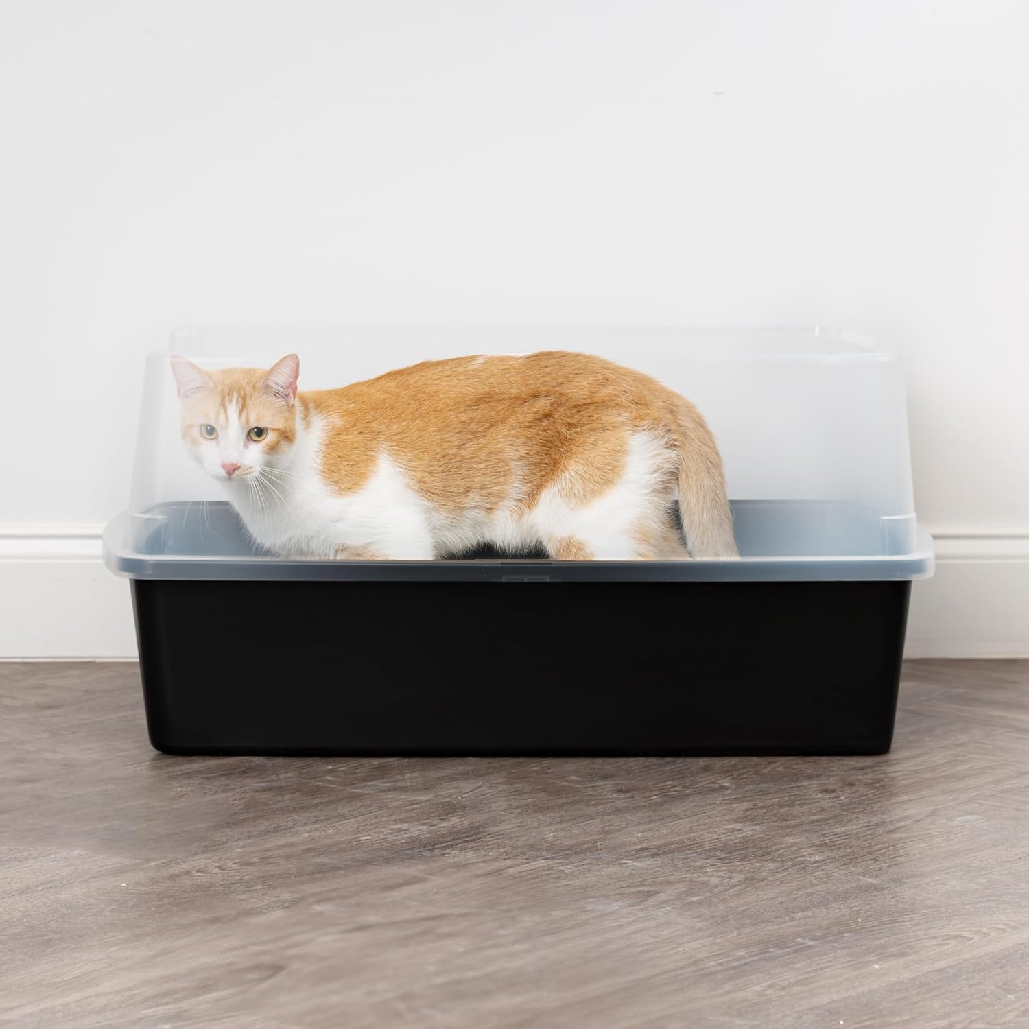Extra Large Cat Litter Box with Scatter Shield, Open Top High Sided J20154