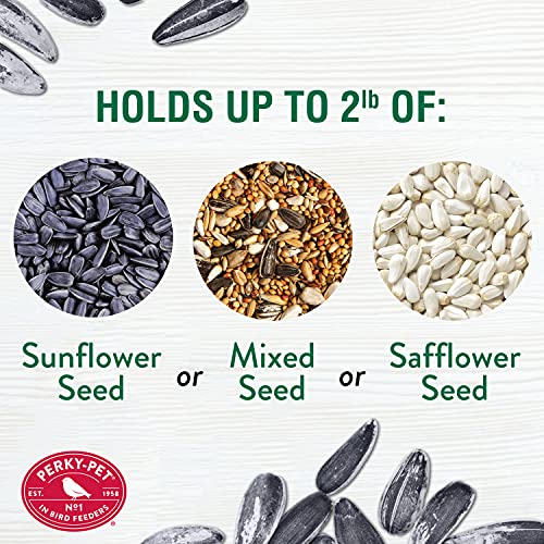 Outdoor Panorama Wild Bird Feeder, 2 Lb Seed Capacity S610