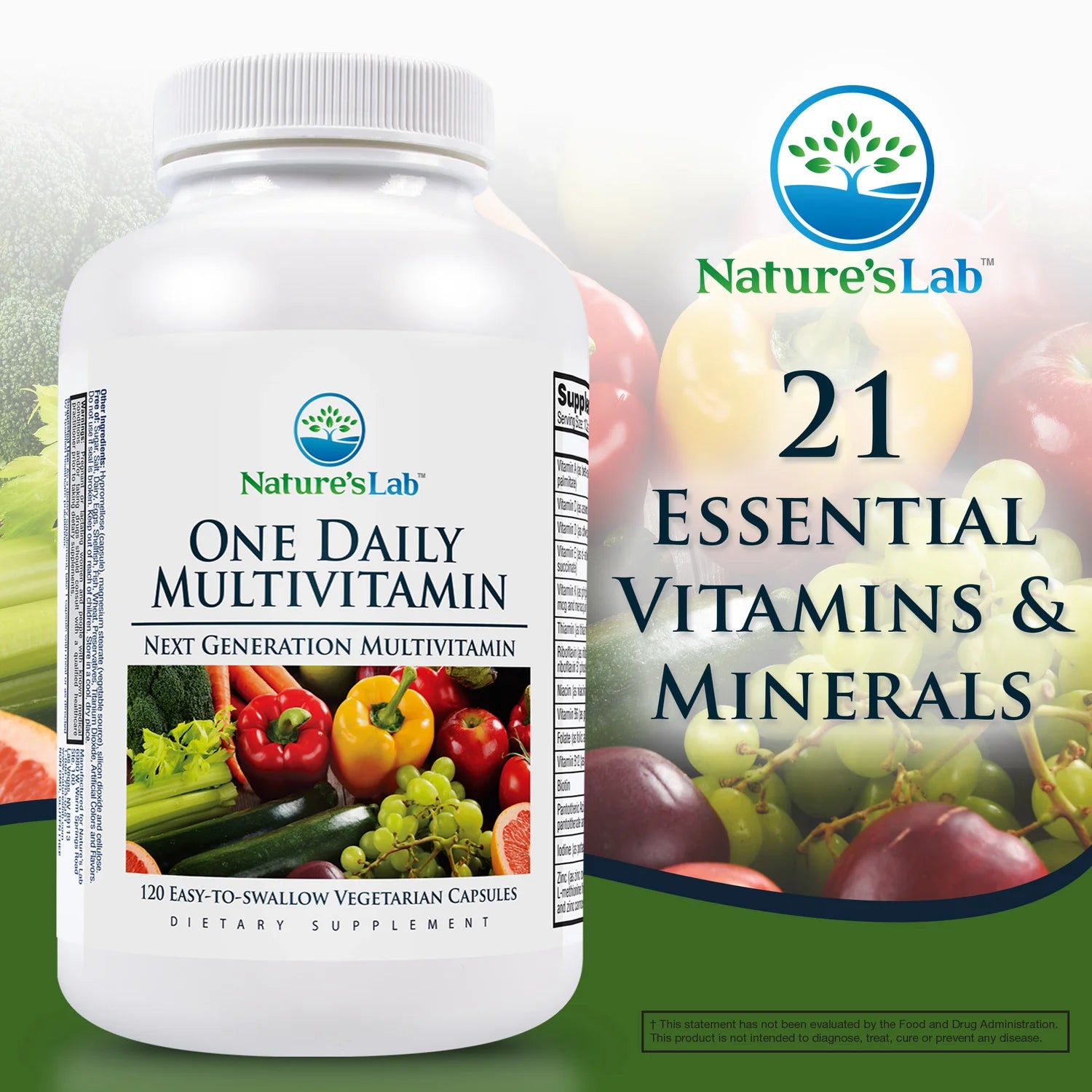 One Daily Multivitamin, 120 Vegetarian Capsules O759802
