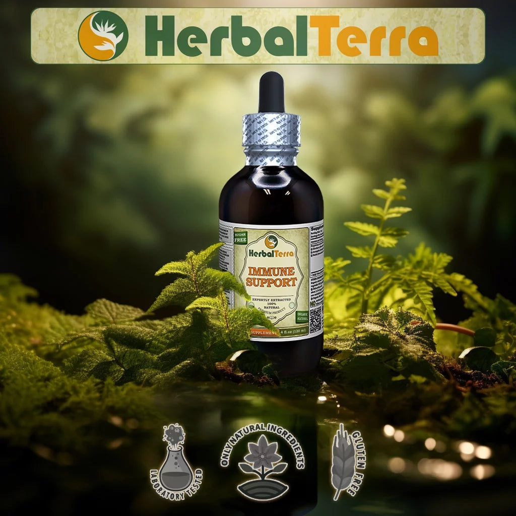 Potato Sprout Liquid Extract Glycerite 32 Fl Oz H2289