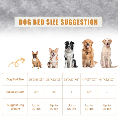 Orthopedic Dog Bed Medium Size Waterproof Washable with Removable Bolster G51373