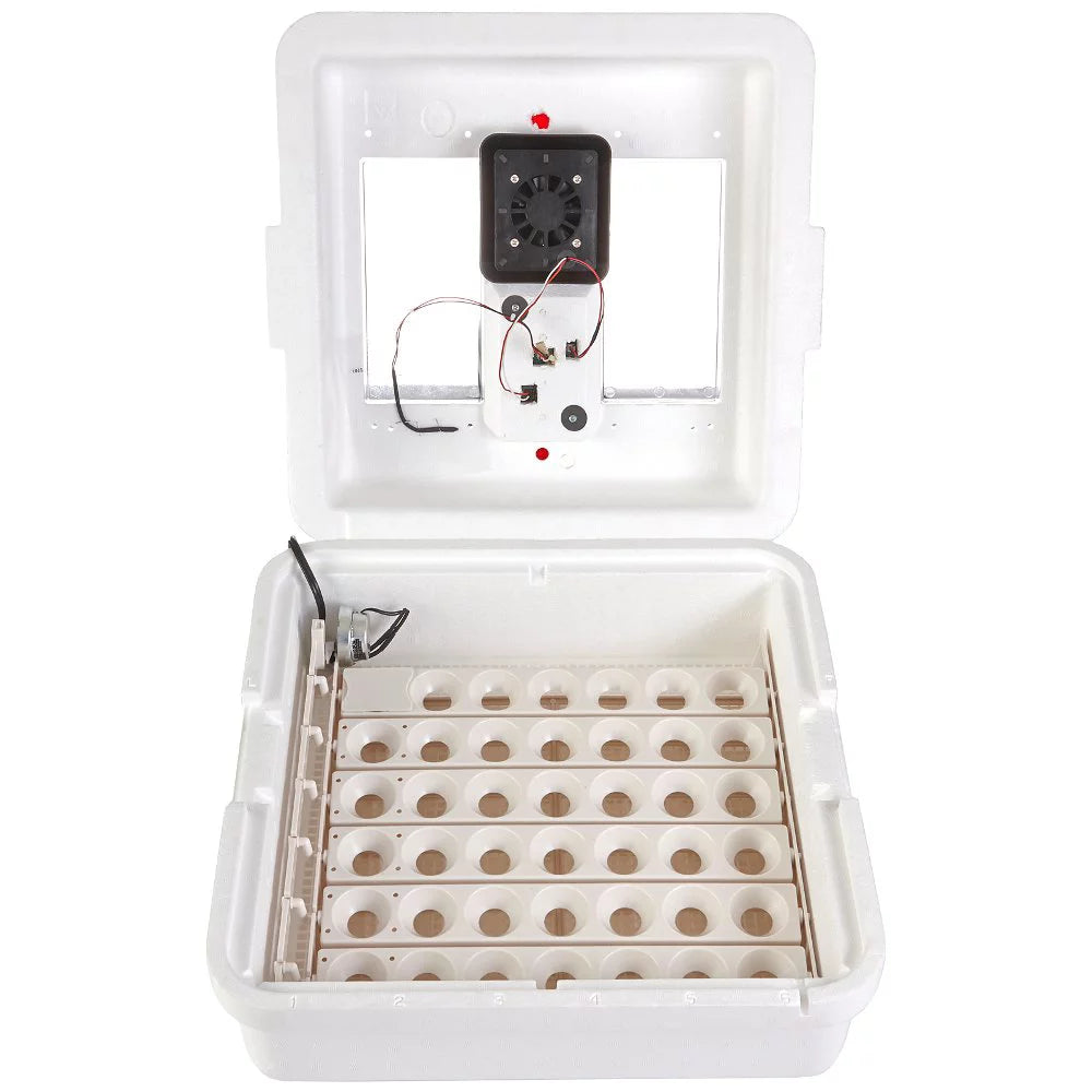 Deluxe Circulated Air Incubator with Egg Turner Q174870