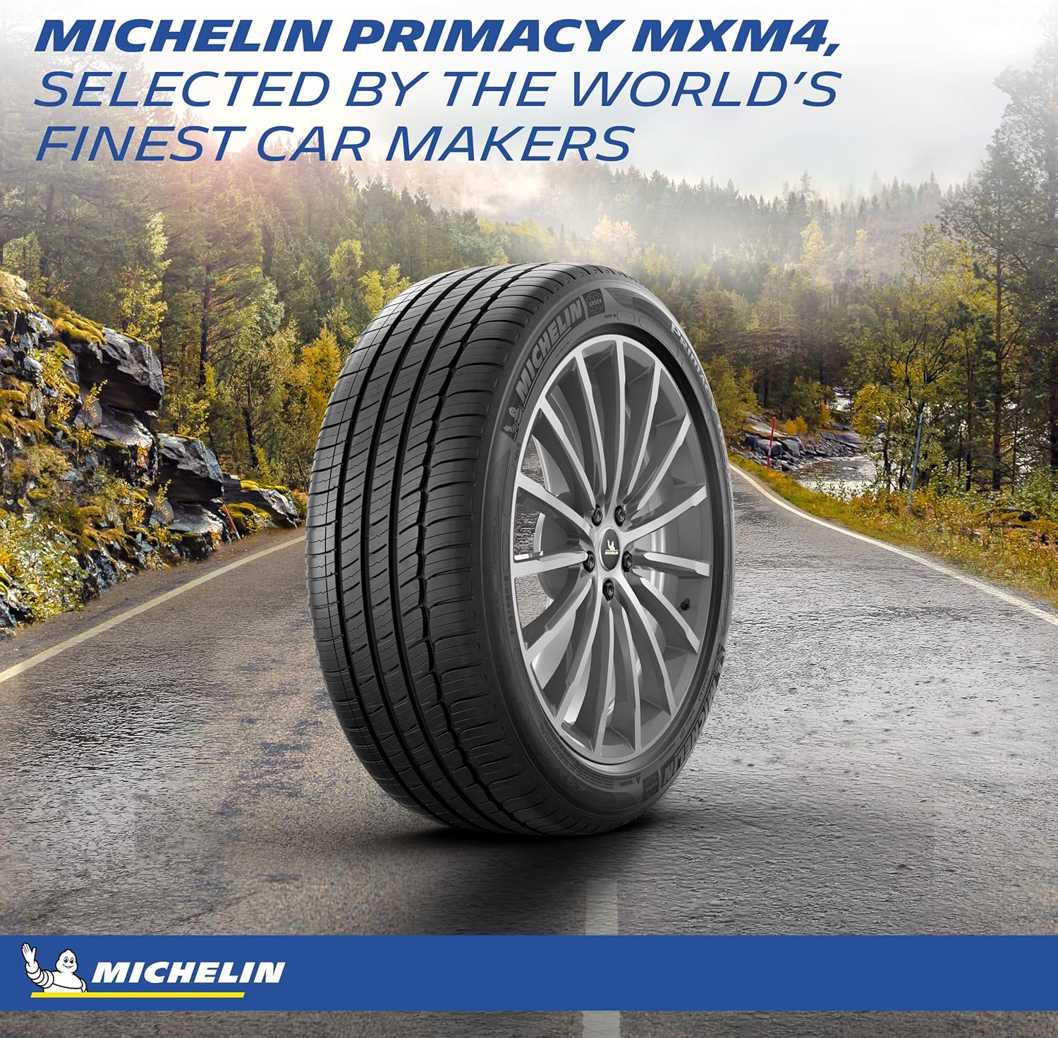 All-Season Car Tire for SUV, Sport and Passenger Cars - 225/45R18 91V R355324