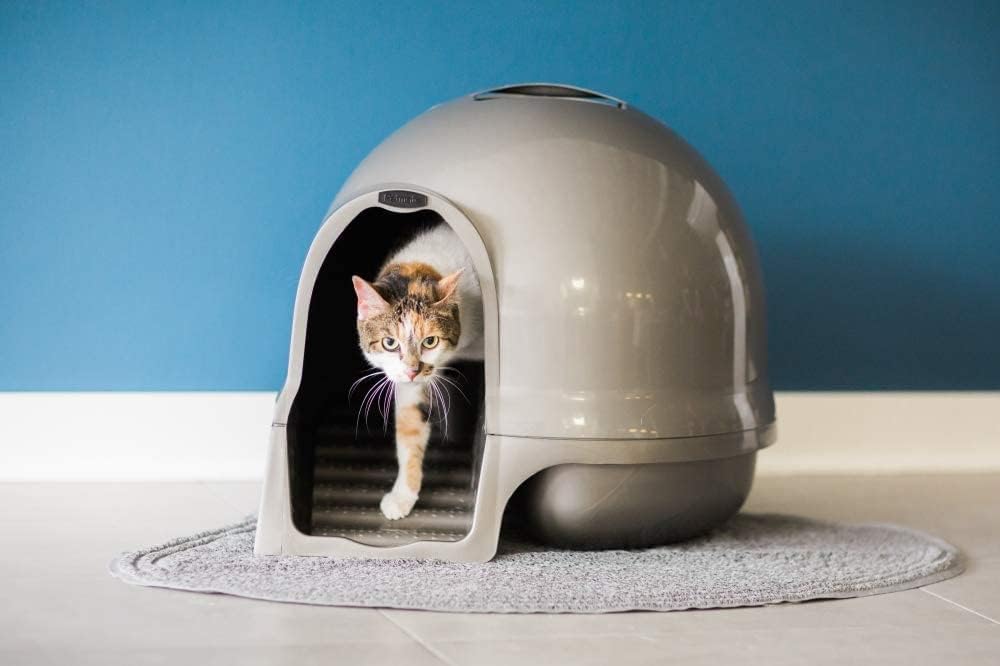 Cat Litter Box Dome with Step, Recycled Materials A134