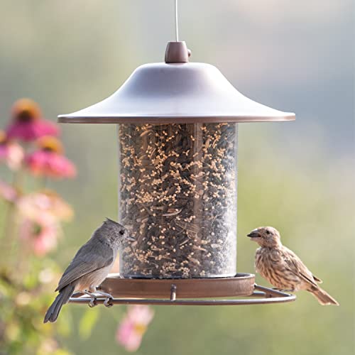 Outdoor Panorama Wild Bird Feeder, 2 Lb Seed Capacity S610