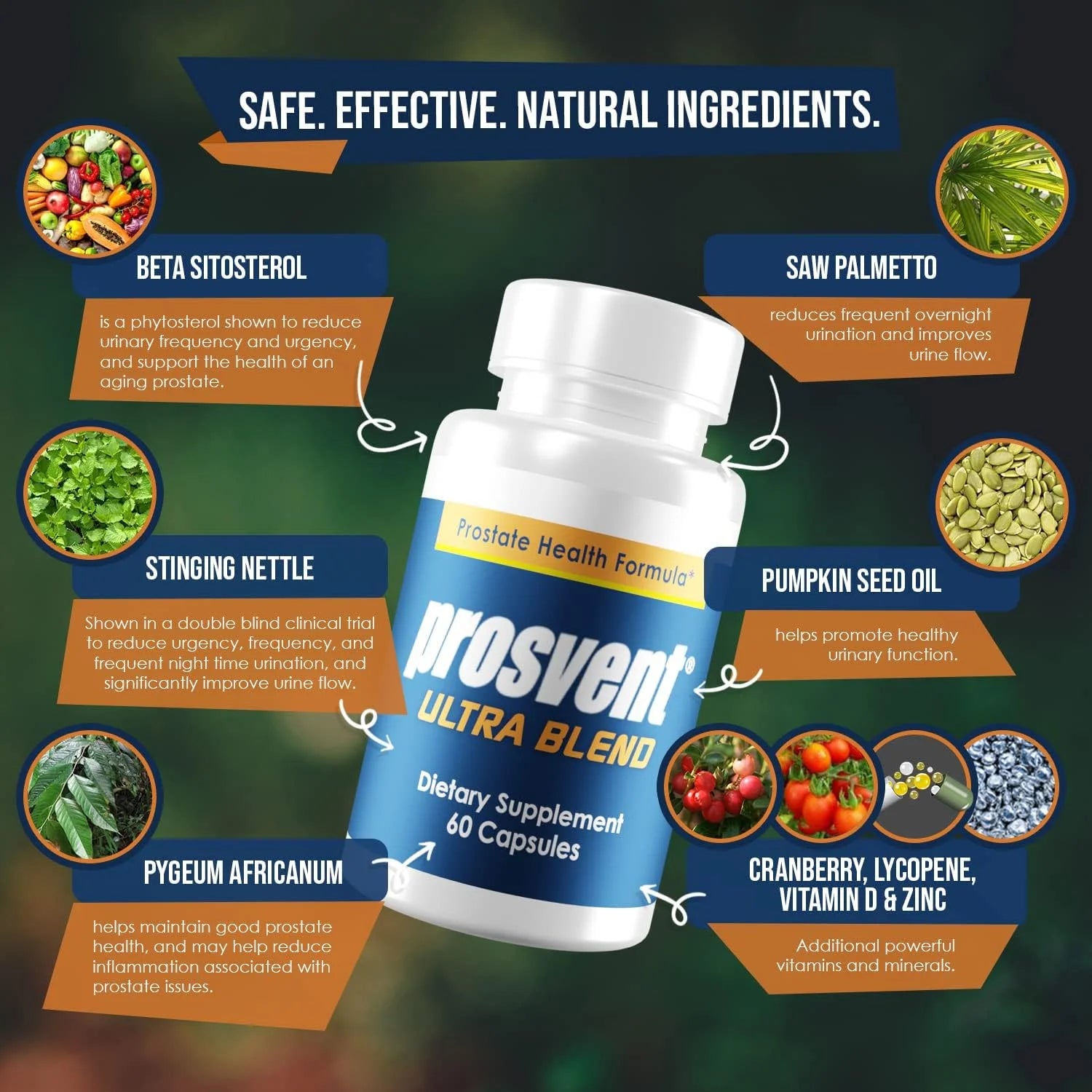 Prostate Support Supplement (60 Count) C206728