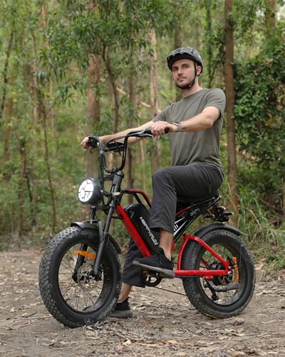 Electric Bike for Adults, 48V 25Ah Removable Battery, 20" Fat Tires C5206