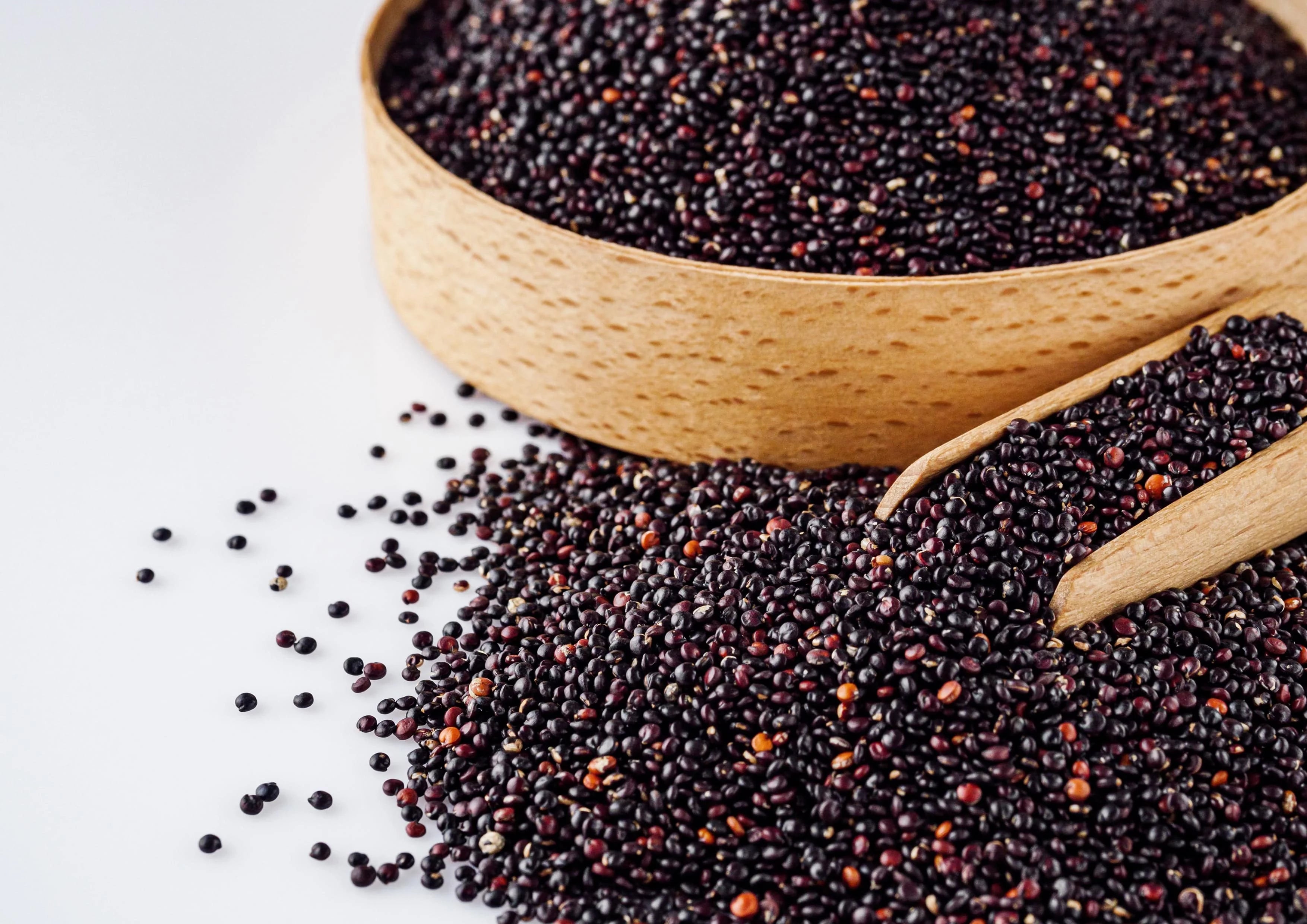 Black Quinoa, 10 Pounds — Raw, Sproutable P5877