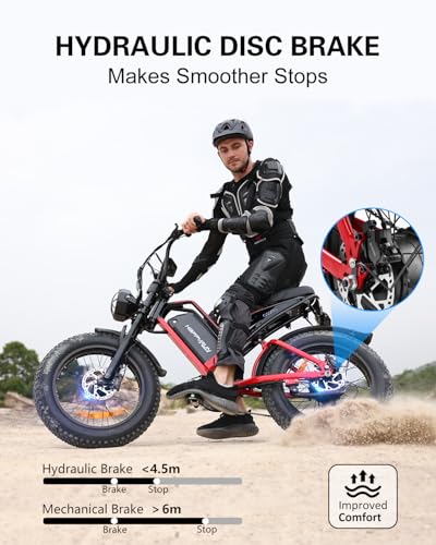 Electric Bike for Adults, 48V 25Ah Removable Battery, 20" Fat Tires C5206
