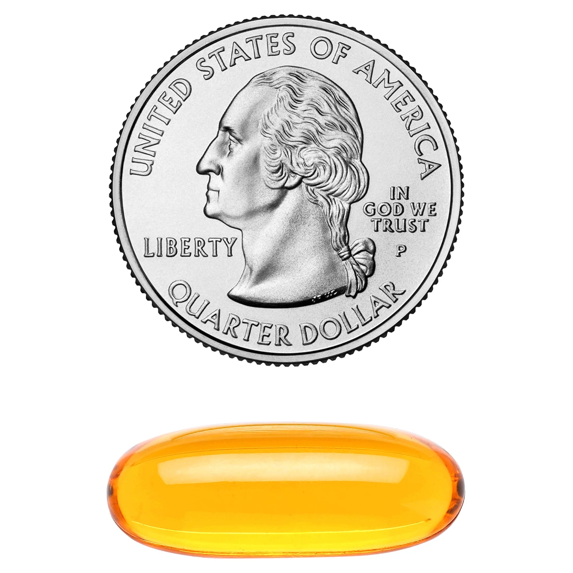 Wild Salmon Oil 1000 mg Softgels, 180 Count G62180
