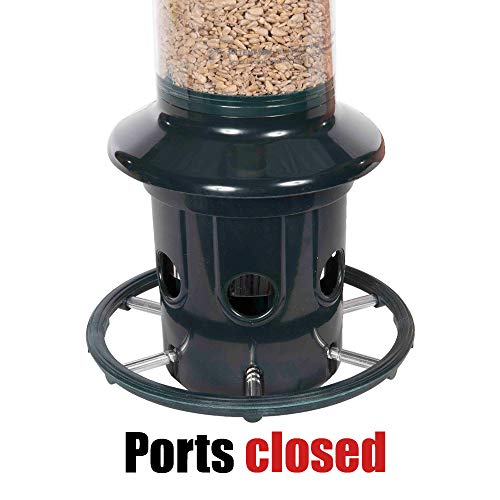 Squirrel-proof Bird Feeder with 6 Feeding Ports, 5.1-pound Seed Capacity, Green X750927