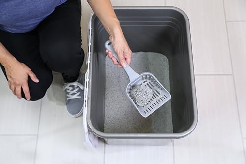 Top Entry Cat Litter Box with Filter Lid B55534