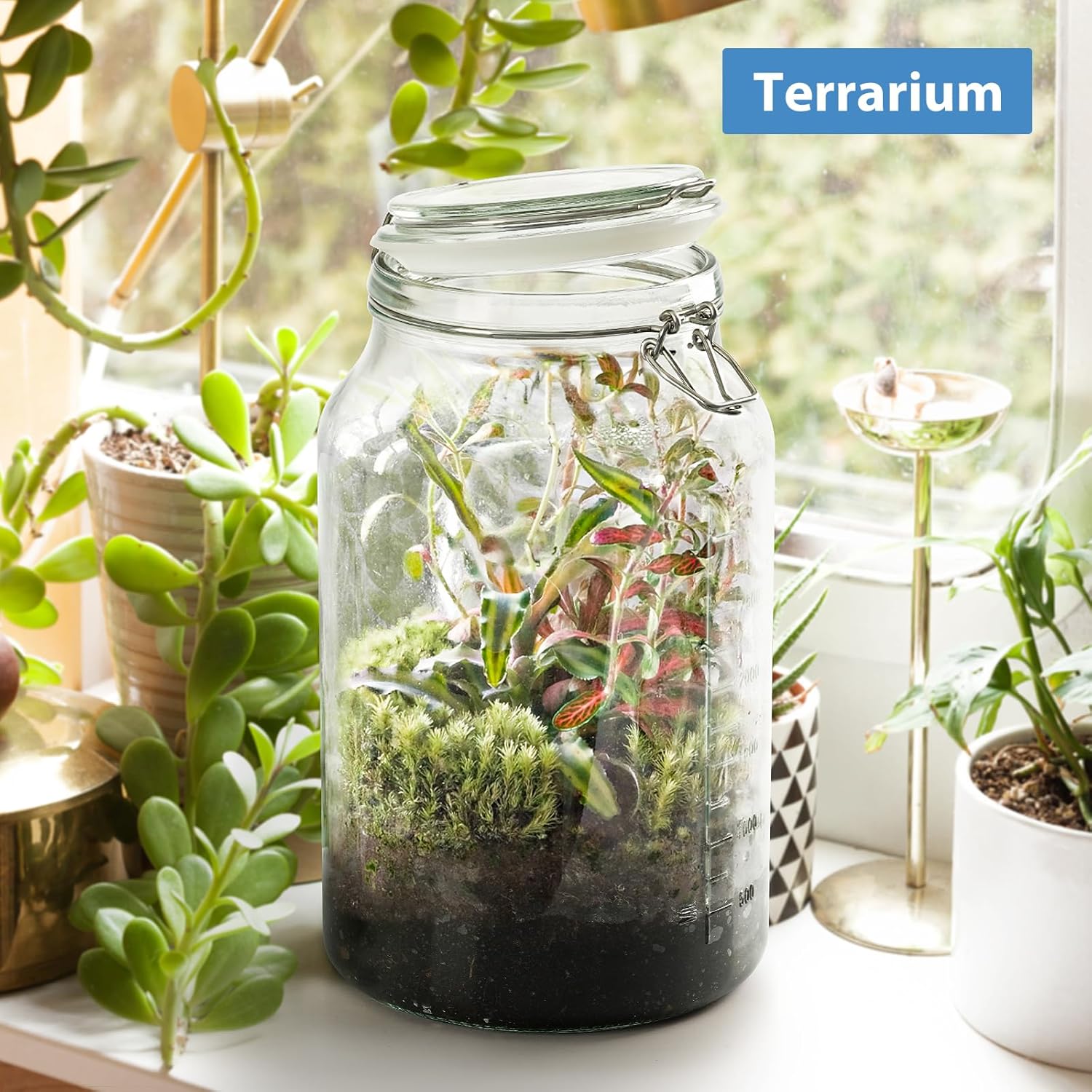 1 Gallon Wide Mouth Glass Storage Jars with Airtight Lids, 2 Pack W949177