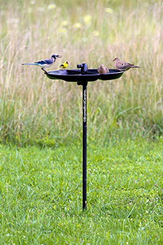 Squirrel-proof Bird Feeder with 6 Feeding Ports, 5.1-pound Seed Capacity, Green X750927