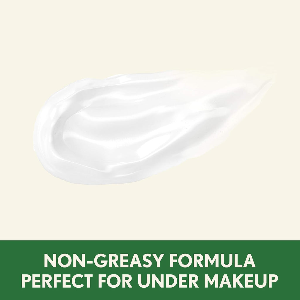 Daily Face Moisturizer with SPF 15 Sunscreen, 4 fl. oz P5350