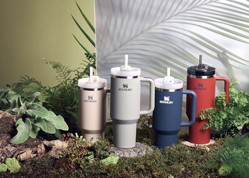 Stainless Steel Vacuum Insulated Tumbler with Lid and Straw C921