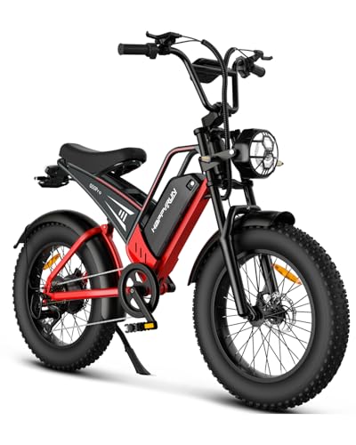 Electric Bike for Adults, 48V 25Ah Removable Battery, 20" Fat Tires C5206