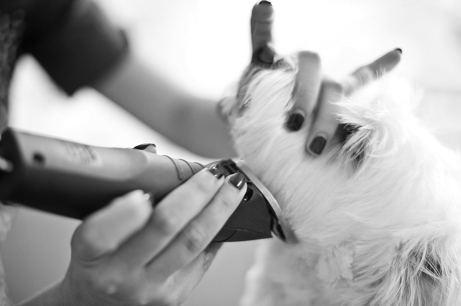 2-Speed Detachable Blade Clipper for Dog Grooming K7918