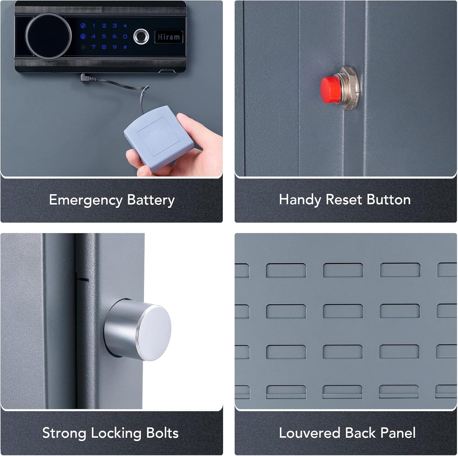 Biometric Gun Safe Cabinet for Rifles and Pistols C40479