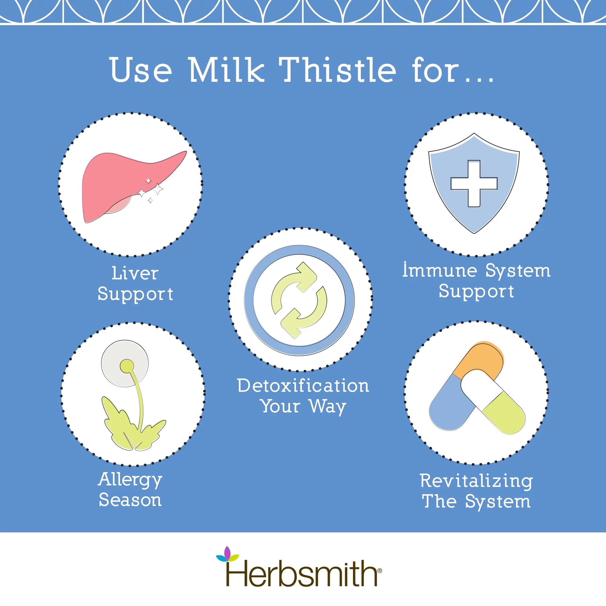 Organic Milk Thistle Powder for Dogs and Cats Liver Supplement L725679