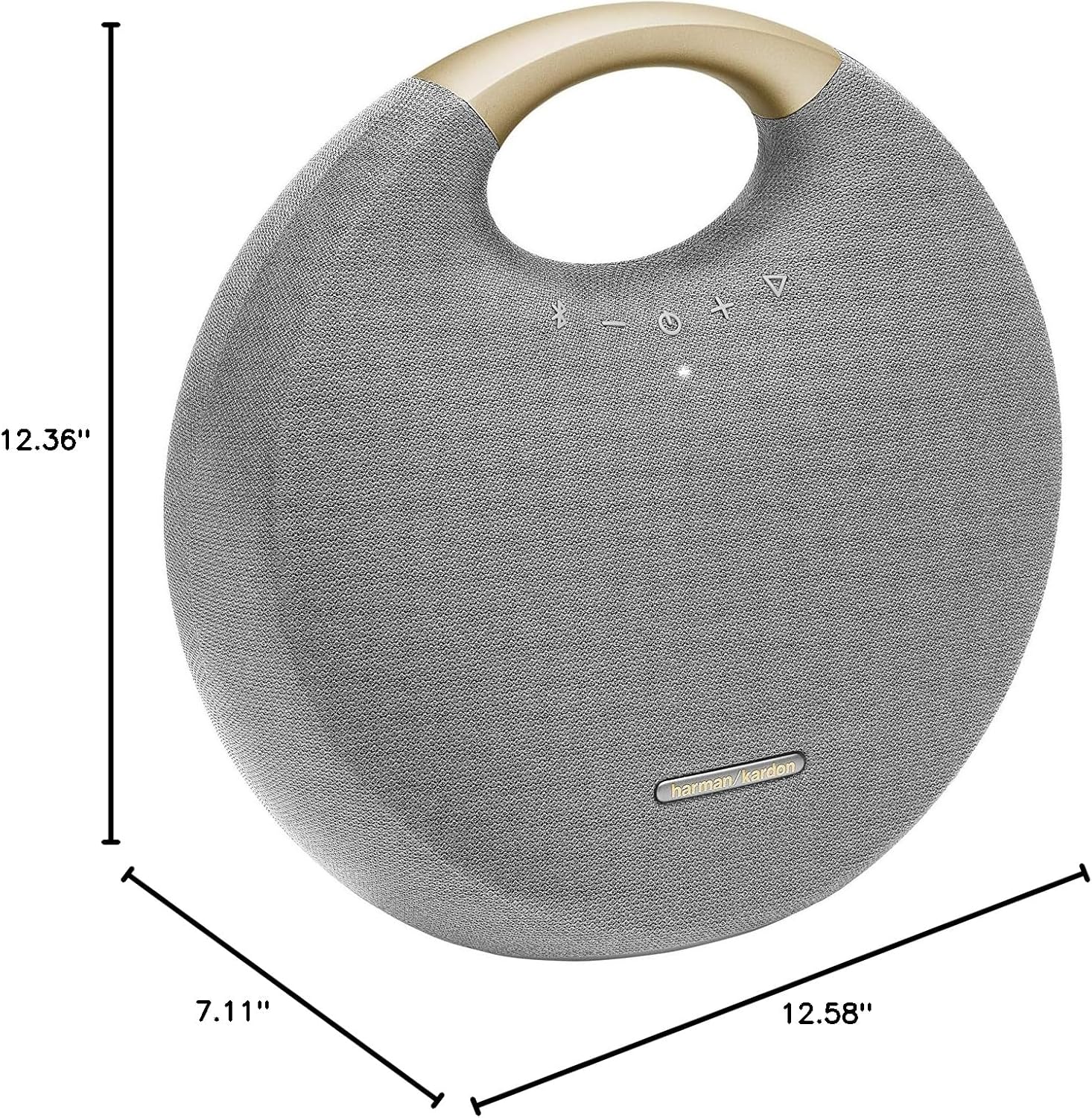 Bluetooth Speaker with Handle - Gray U19351
