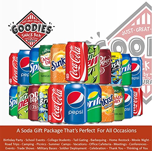 16 Soda Variety Bundle | Multi Flavor Soft Drink Pack | Assorted Cola, Ginger Ale, Iced Tea L5315